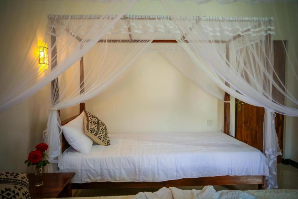 Mount Pleasant Ella Apartment Ngoại thất bức ảnh